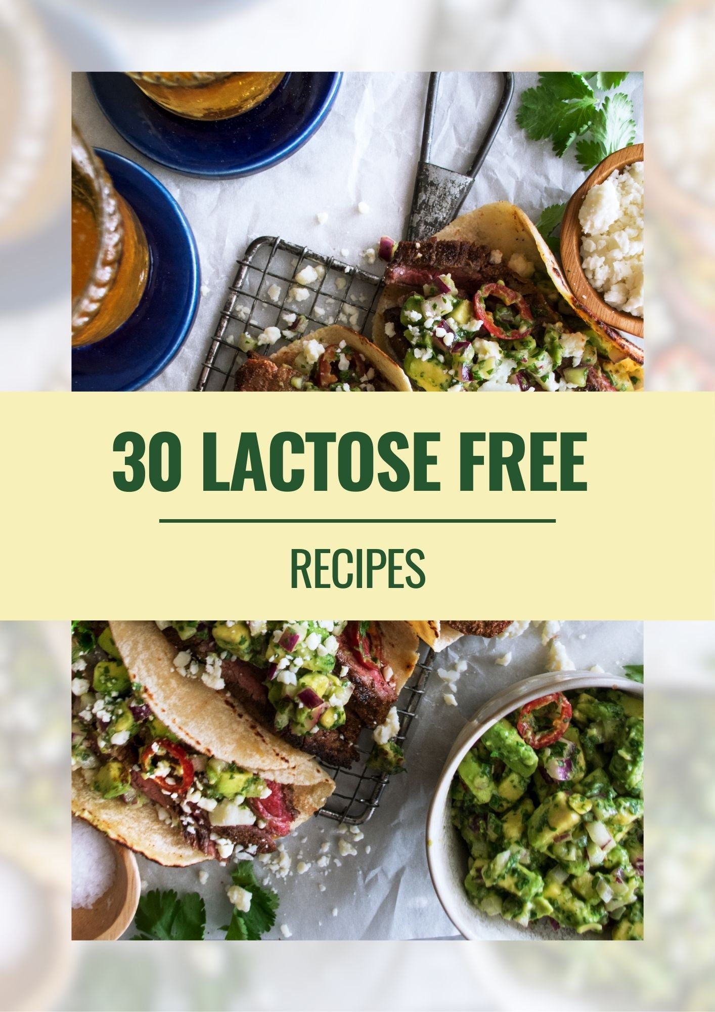 E-Cookbook 30 Lactose Free Recipes (E-Book)